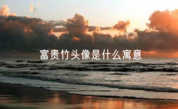 富贵竹头像是什么寓意