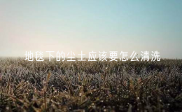地毯下的尘土应该要怎么清洗（清洁地毯的有效方法）