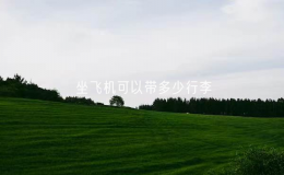 坐飞机可以带多少行李（有关航空旅行行李限制）