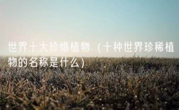 世界十大珍惜植物（十种世界珍稀植物的名称是什么）