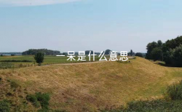 一呆是什么意思