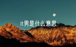 it男是什么意思？10个it男9个单身!