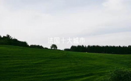 法国十大城市（法国哪些城市值得去）