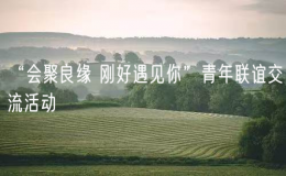 “会聚良缘 刚好遇见你”青年联谊交流活动