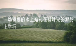 一场特别的水上婚礼在柳叶湖的游船上举行