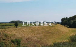 五月天假唱鉴定？