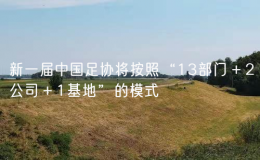 新一届中国足协将按照“13部门＋2公司＋1基地”的模式