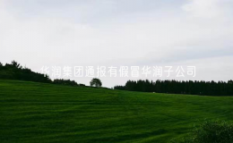 华润集团通报有假冒华润子公司