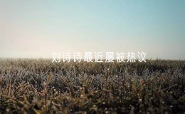 ​刘诗诗最近屡被热议