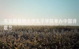 布加勒斯特大学孔子学院举办中国诗歌节