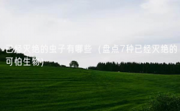 已经灭绝的虫子有哪些（盘点7种已经灭绝的可怕生物）