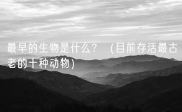 最早的生物是什么？（目前存活最古老的十种动物）