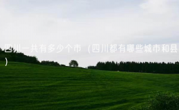 四川一共有多少个市（四川都有哪些城市和县）