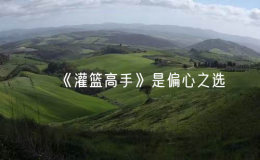 《灌篮高手》是偏心之选