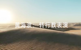 黄海波：转行教表演