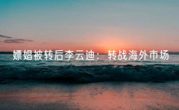 嫖娼被转后李云迪：转战海外市场