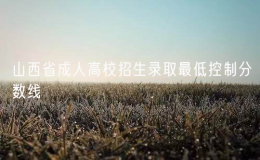 2024年山西省成人高校招生录取最低控制分数线公布
