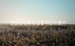 全国知名高校团委书记合肥行