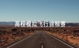 全国高校模拟飞行锦标赛举办