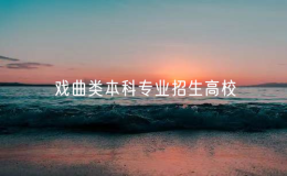 2025年戏曲类本科专业招生高校有11所