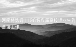 河南将选调1198名应届高校毕业生到基层工作