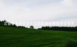 2025年河北省普通高校招生戏剧影视表演类专业统考
