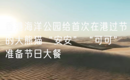 香港海洋公园给首次在港过节的大熊猫“安安”“可可”准备节日大餐