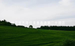 世茂据悉降价求售香港第二大酒店