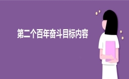 第二个百年奋斗目标内容是什么