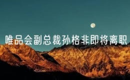 唯品会副总裁孙格非即将离职
