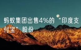 蚂蚁集团出售4%的“印度支付宝”股份