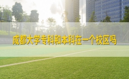 成都大学专科和本科在一个校区吗