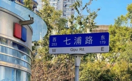 七浦路攻略（分享七浦路的精彩之旅）