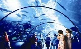 中国十大海洋馆排名(2023中国十大海洋公园排行榜)