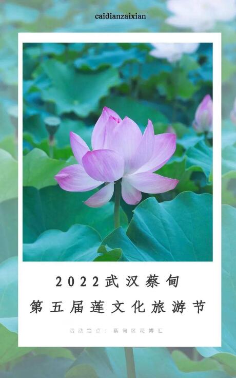 QQ截图20220716144840.jpg