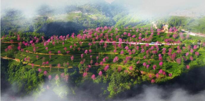 QQ截图20220802165921.jpg