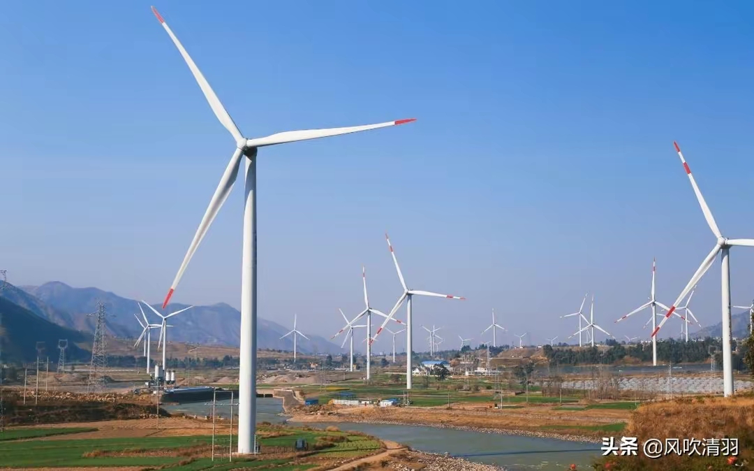 QQ图片20230321230447.jpg