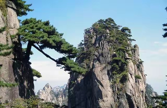 QQ图片20230331232342.jpg