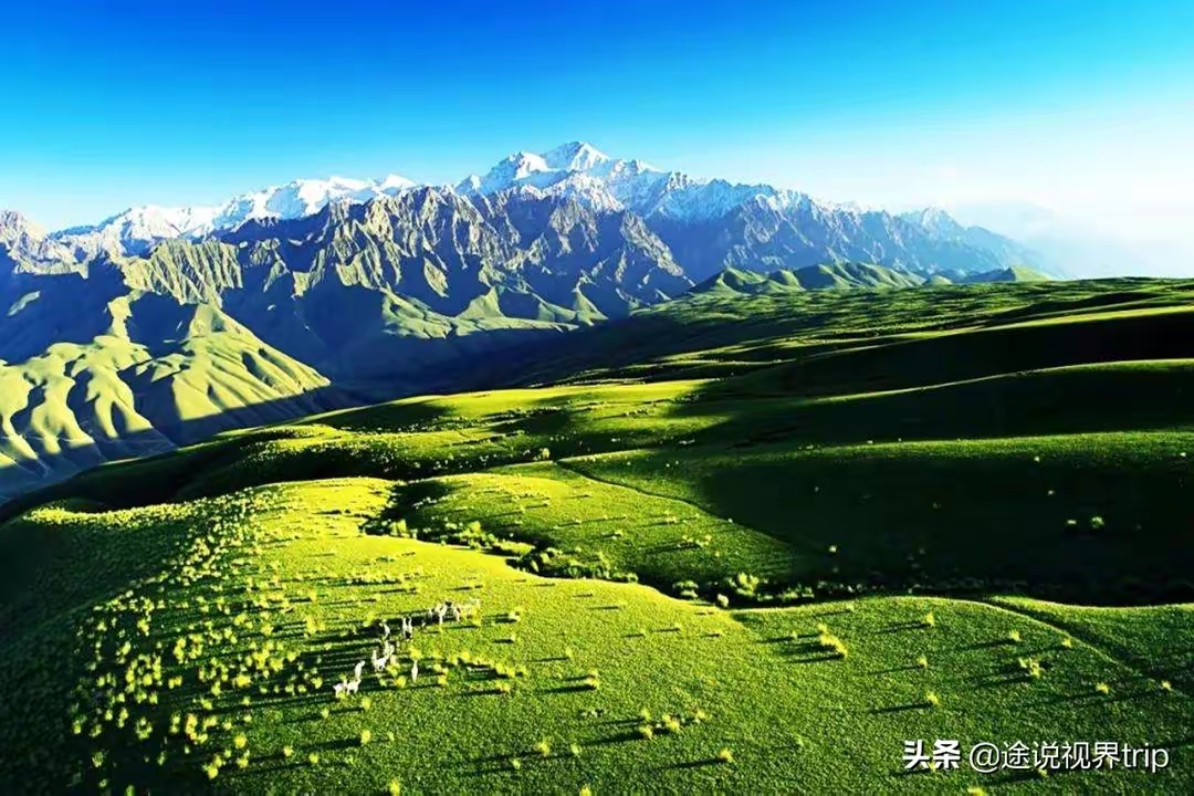 QQ图片20221118200715.jpg