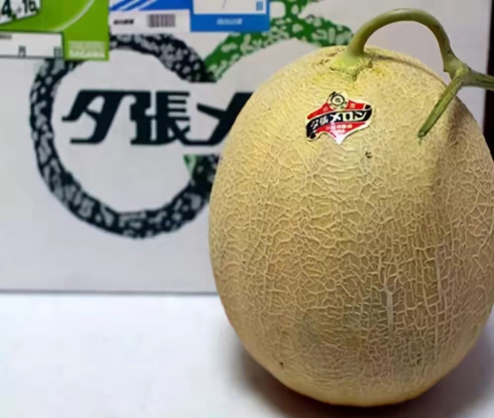 QQ图片20221121213139.jpg