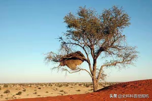 QQ图片20230105214717.jpg
