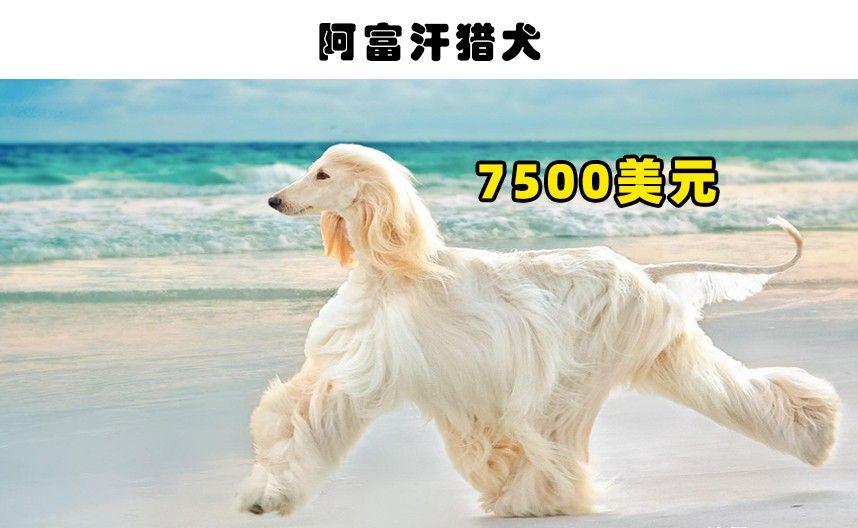 QQ图片20221014220253.jpg