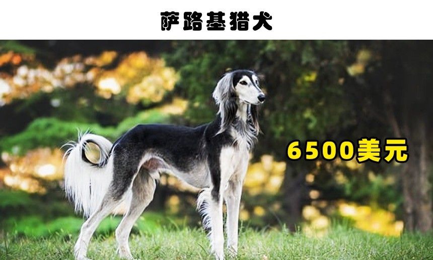 QQ图片20221014220928.jpg