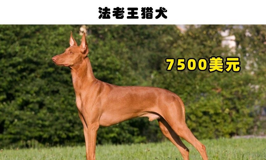 QQ图片20221014220944.jpg