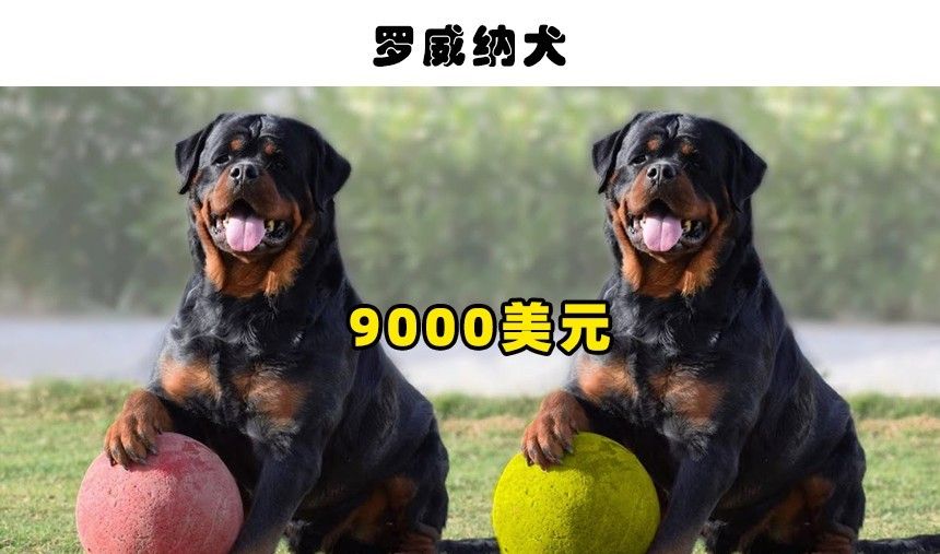 QQ图片20221014220959.jpg