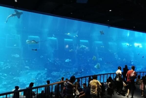 QQ图片20230209001328.jpg