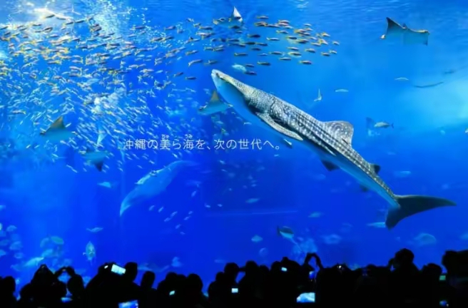 QQ图片20230209001641.jpg