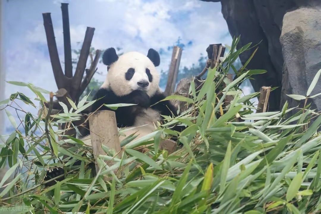 QQ图片20230413172128.jpg