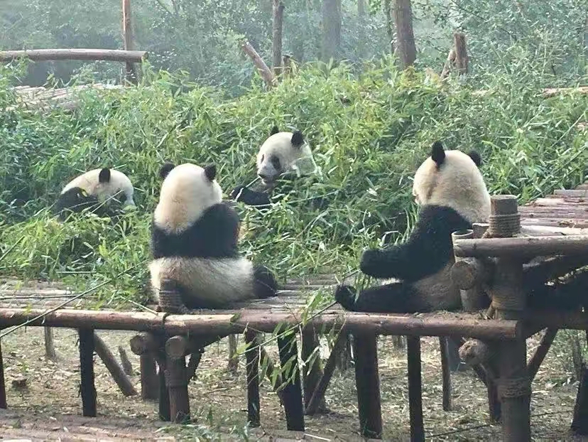 QQ图片20230303210327.jpg